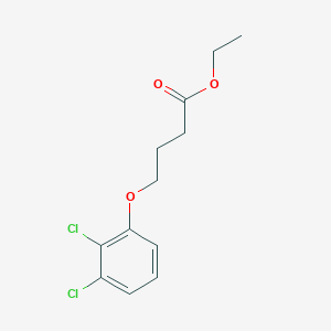 molecular formula C12H14Cl2O3 B12636604 Ethyl 4-(2,3-dichloro-phenoxy)butanoate 