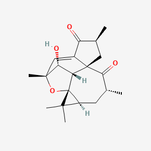 molecular formula C20H26O4 B1263672 Steenkrotin A 