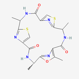 molecular formula C19H20N6O4S2 B1263685 Tenuecyclamide A 