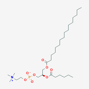 molecular formula C30H60NO8P B1263686 1-Hexadecanoyl-2-hexanoyl-sn-glycero-3-phosphocholine 