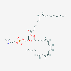 molecular formula C44H78NO8P B1263688 1-(7Z-hexadecenoyl)-2-(5Z,8Z,11Z,14Z-eicosatetraenoyl)-sn-glycero-3-phosphocholine 