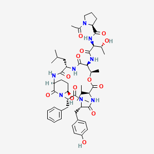 molecular formula C50H70N8O13 B1263696 kempopeptin A 