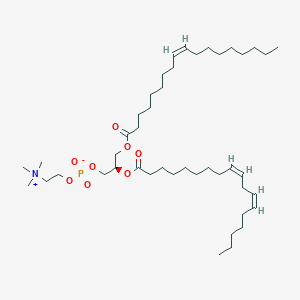 1-(9Z-octadecenoyl)-2-(9Z,12Z-octadecadienoyl)-sn-glycero-3-phosphocholine