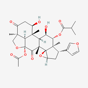 molecular formula C32H40O11 B1263720 malleastrone C 