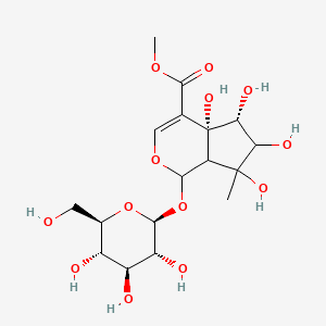 molecular formula C17H26O13 B1263752 Methyl 1-(hexopyranosyloxy)-4a,5,6,7-tetrahydroxy-7-methyl-1,4a,5,6,7,7a-hexahydrocyclopenta[c]pyran-4-carboxylate 