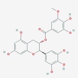 molecular formula C23H20O11 B1263766 [(2S,3S)-5,7-dihydroxy-2-(3,4,5-trihydroxyphenyl)-3,4-dihydro-2H-chromen-3-yl] 3,4-dihydroxy-5-methoxybenzoate 