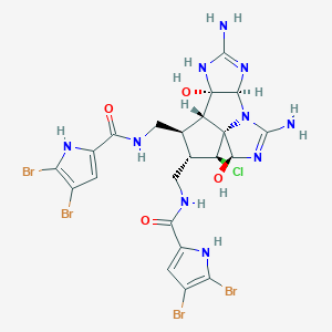 molecular formula C22H23Br4ClN10O4 B1263799 Axinellamine A 