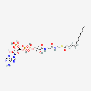 molecular formula C35H58N7O17P3S B1263818 (3E,5Z)-十四碳二烯酰辅酶A 