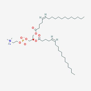 molecular formula C44H84NO8P B1263822 1,2-di-(5Z-octadecenoyl)-sn-glycero-3-phosphocholine 