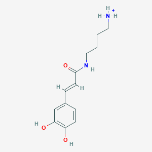 molecular formula C13H19N2O3+ B1263846 N-咖啡酰腐胺(1+) 