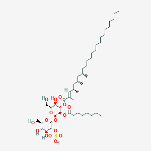 2-O-octanoyl-3-O-[(2E,4S,6S,8S)-2,4,6,8-tetramethyltetracos-2-enoyl]-alpha-D-glucopyranosyl 2-O-sulfo-alpha-D-glucopyranoside