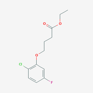 Ethyl 4-(2-chloro-5-fluoro-phenoxy)butanoate