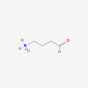 molecular formula C4H10NO+ B1263962 4-Ammoniobutanal 