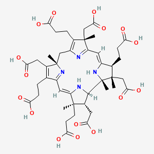 molecular formula C44H56N4O16 B1263978 Precorrin-6y 
