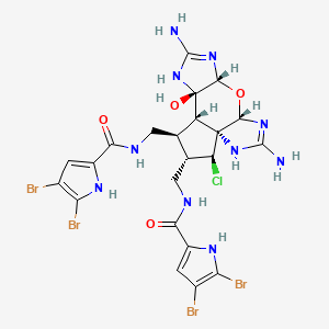 molecular formula C22H23Br4ClN10O4 B1264003 Massadine chloride 
