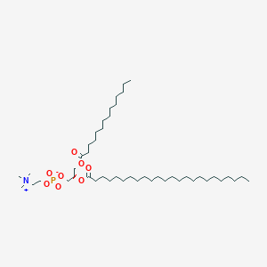 molecular formula C46H92NO8P B1264067 1-Tetradecanoyl-2-tetracosanoyl-sn-glycero-3-phosphocholine 