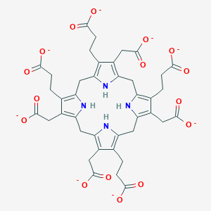 molecular formula C40H36N4O16-8 B1264089 uroporphyrinogen III(8-) 