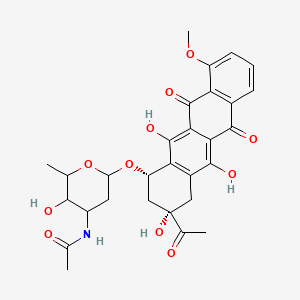 molecular formula C29H31NO11 B1264216 N-乙酰达诺霉素 