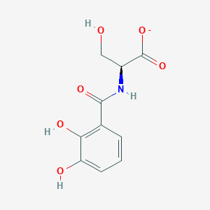 molecular formula C10H10NO6- B1264231 N-(2,3-dihydroxybenzoyl)-L-serinate 