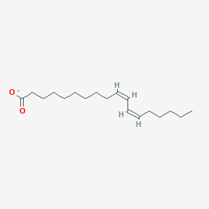 molecular formula C18H31O2- B1264234 Dihomolinoleate 