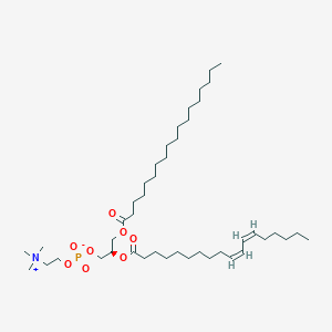 molecular formula C44H84NO8P B1264241 1-十八烷酰基-2-[(10Z,12Z)-十八二烯酰基]-sn-甘油-3-磷酸胆碱 