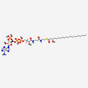 molecular formula C41H74N7O18P3S B1264268 3-羟基二十烷酰辅酶A 