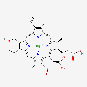molecular formula C35H34MgN4O6 B1264326 7(1)-羟基叶绿素 a 