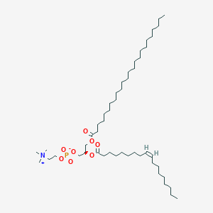 molecular formula C50H98NO8P B1264393 1-二十四烷酰基-2-[(9Z)-十八碳烯酰基]-sn-甘油-3-磷酸胆碱 