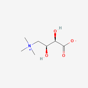 Anthopleurine