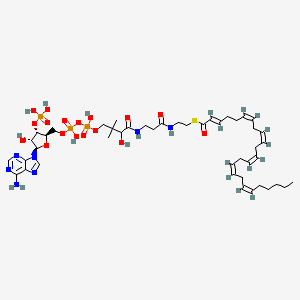 molecular formula C45H70N7O17P3S B1264460 (2E,6Z,9Z,12Z,15Z,18Z)-Tetracosahexa-2,6,9,12,15,18-enoyl-CoA 
