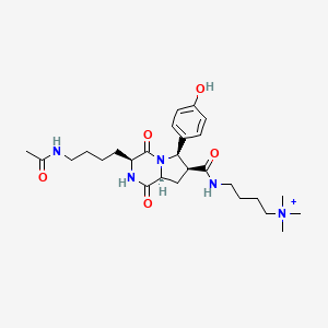 molecular formula C27H42N5O5+ B1264462 4-[[[(3S,6R,7S,8aS)-3-(4-acetamidobutyl)-6-(4-hydroxyphenyl)-1,4-dioxo-2,3,6,7,8,8a-hexahydropyrrolo[1,2-a]pyrazin-7-yl]-oxomethyl]amino]butyl-trimethylammonium 