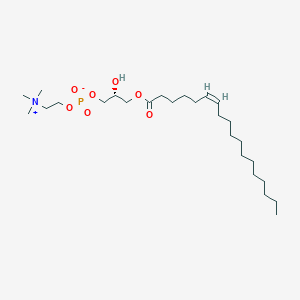 molecular formula C26H52NO7P B1264509 1-(6Z-octadecenoyl)-sn-glycero-3-phosphocholine 