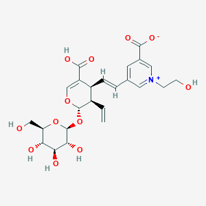 molecular formula C24H29NO12 B1264521 5-[(E)-2-[(2S,3R,4S)-5-羧基-3-乙烯基-2-[(2S,3R,4S,5S,6R)-3,4,5-三羟基-6-(羟甲基)氧杂环-2-基]氧基-3,4-二氢-2H-吡喃-4-基]乙烯基]-1-(2-羟乙基)吡啶-1-鎓-3-羧酸 
