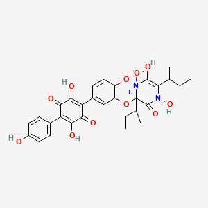 molecular formula C30H30N2O11 B1264546 Sarcoviolin 