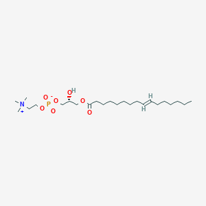 molecular formula C24H48NO7P B1264552 1-[(9E)-hexadecenoyl]-sn-glycero-3-phosphocholine 