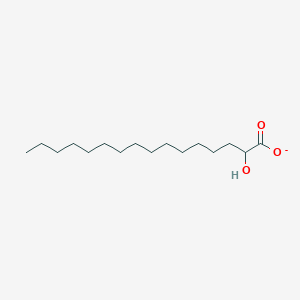 molecular formula C16H31O3- B1264574 2-Hydroxypalmitate 