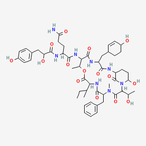Aeruginopeptin 228B