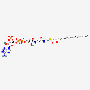 molecular formula C39H64N7O18P3S-4 B1264645 3-oxooctadecanoyl-CoA(4-) 