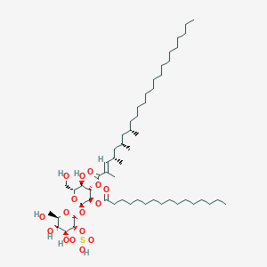 molecular formula C56H104O16S B1264661 2-O-palmitoyl-2'-O-sulfo-3-O-[(2E,4S,6S,8S)-2,4,6,8-tetramethyltetracos-2-enoyl]-alpha,alpha-trehalose 