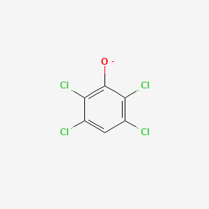 molecular formula C6HCl4O- B1264694 2,3,5,6-Tetrachlorophenolate 
