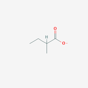 molecular formula C5H9O2- B1264701 2-甲基丁酸 