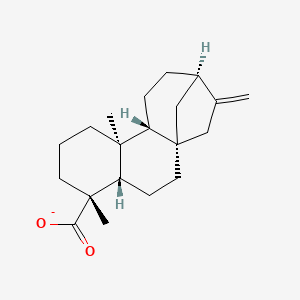 molecular formula C20H29O2- B1264744 ent-Kaur-16-en-19-oate 