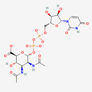 molecular formula C19H25N4O18P2-3 B1264747 UDP-2,3-diacetamido-2,3-dideoxy-alpha-D-mannuronate 