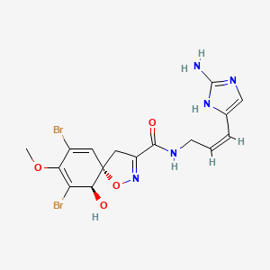 molecular formula C16H17Br2N5O4 B1264808 (5S,6R)-N-[(Z)-3-(2-amino-1H-imidazol-5-yl)prop-2-enyl]-7,9-dibromo-6-hydroxy-8-methoxy-1-oxa-2-azaspiro[4.5]deca-2,7,9-triene-3-carboxamide 
