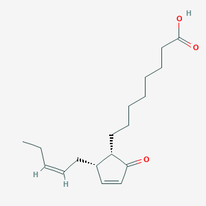 molecular formula C18H28O3 B1264863 10-氧代-11,15-植物二烯酸 