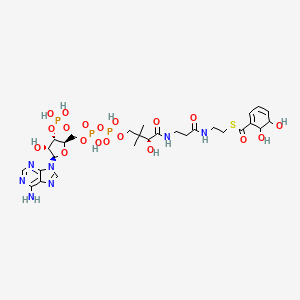 molecular formula C28H42N7O19P3S B1264922 2,3-dihydroxy-2,3-dihydrobenzoyl-CoA 