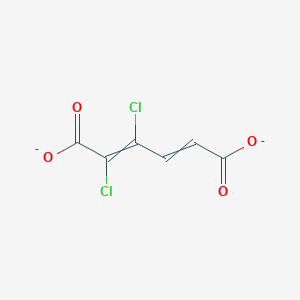 molecular formula C6H2Cl2O4-2 B1264944 2,3-Dichloromuconate(2-) 