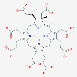molecular formula C41H38N4O16-8 B1264948 Precorrin-1(8-) 