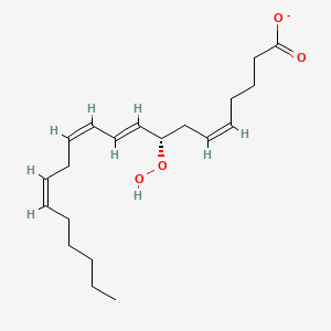 molecular formula C20H31O4- B1264986 (5Z,9E,11Z,14Z)-(8S)-8-hydroperoxyicosa-5,9,11,14-tetraenoate 