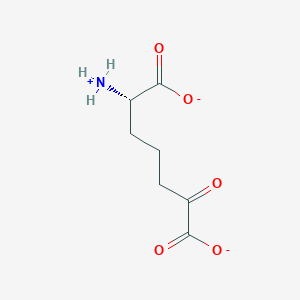 (S)-2-amino-6-oxopimelate